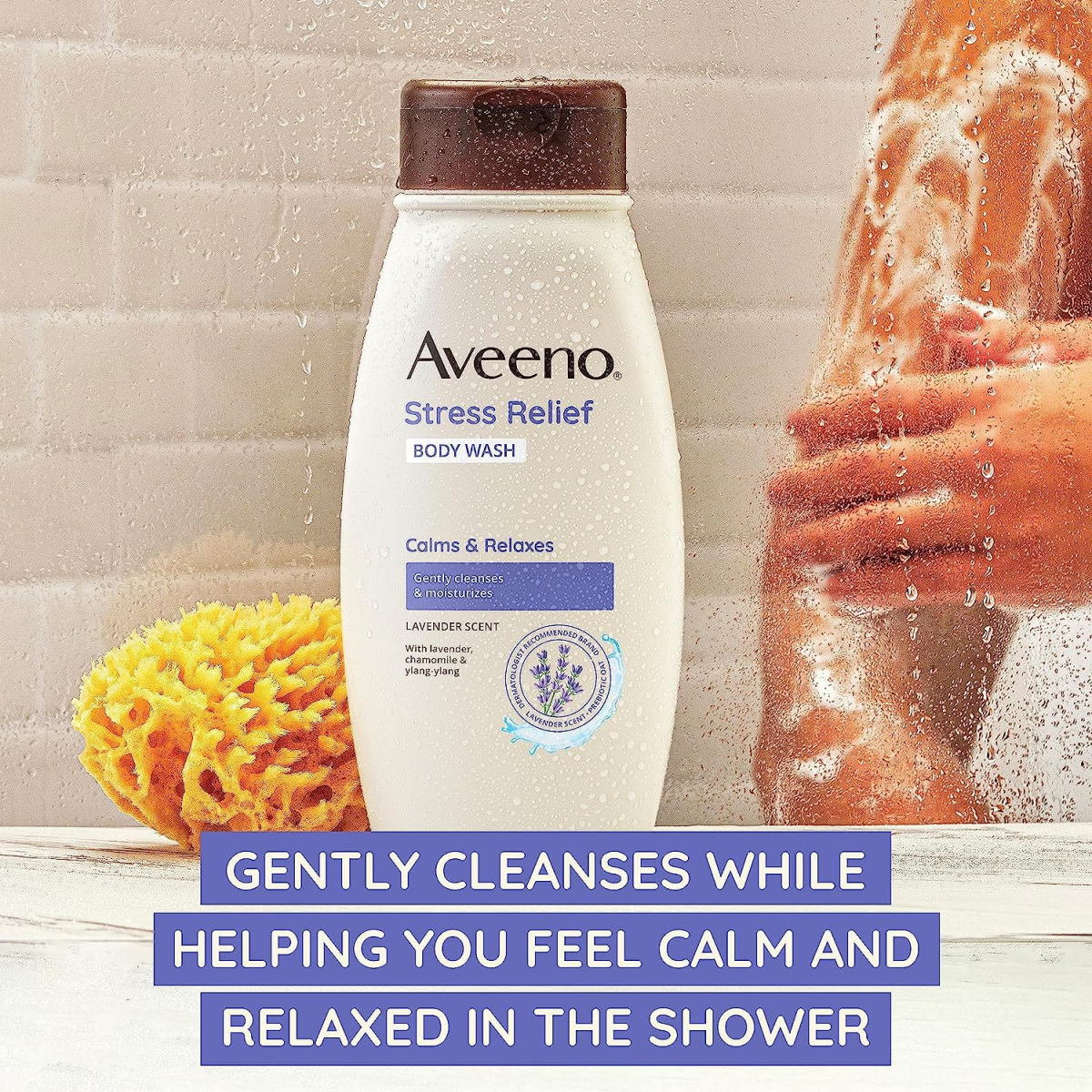 Sữa Tắm Hương Hoa Oải Hương Và Cúc La Mã Aveeno Stress Relief Body Wash - 2 Chai X 975ml