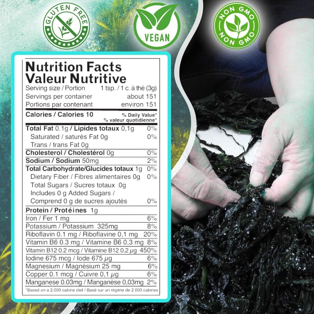 Bột Rong Biển Hữu Cơ Ocean's Balance Organic Dulse Powder – Túi 113g